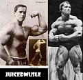 Click image for larger version

Name:	Arnie.jpg
Views:	46
Size:	52.8 KB
ID:	153333