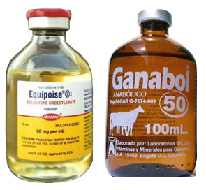Equipoise use in horses