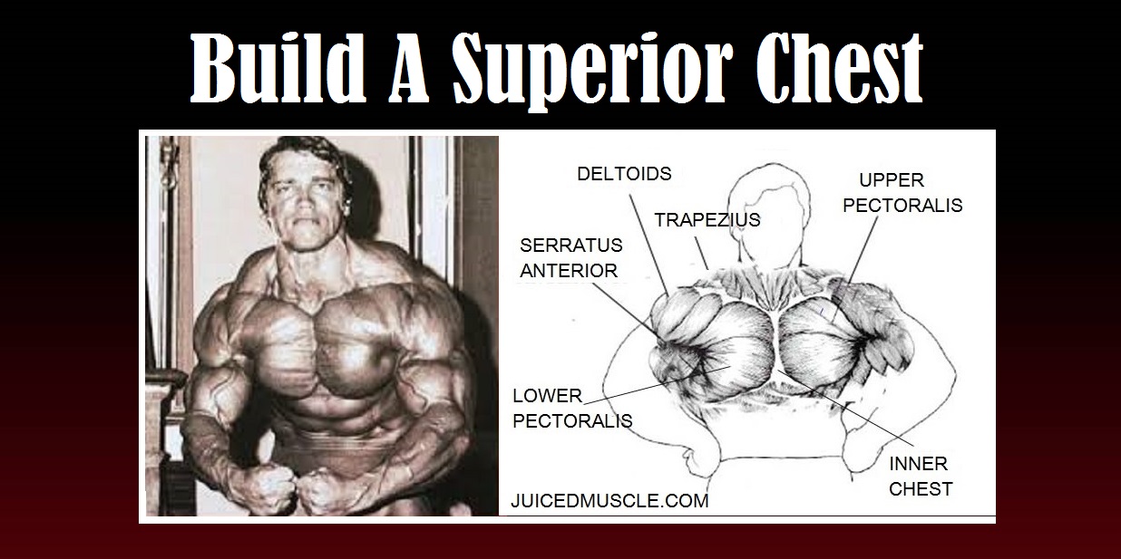 Build A Superior Chest