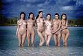 Click image for larger version

Name:	53014.jpg
Views:	69
Size:	95.6 KB
ID:	152699