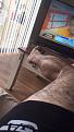 Click image for larger version

Name:	phillip full body pic..jpg1.jpg
Views:	90
Size:	38.8 KB
ID:	157930