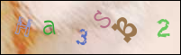 Registration Image