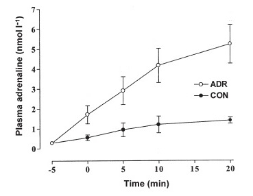 exercise during glycogenolysis Adrenaline  JuicedMuscle.com