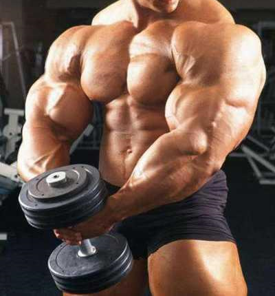Muscle bodybuilding steroids