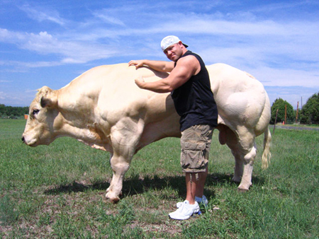 Anabolic milk protein