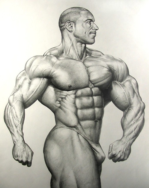 The cycle of a pro-bodybuilder competing Mr Olympia 1995. 